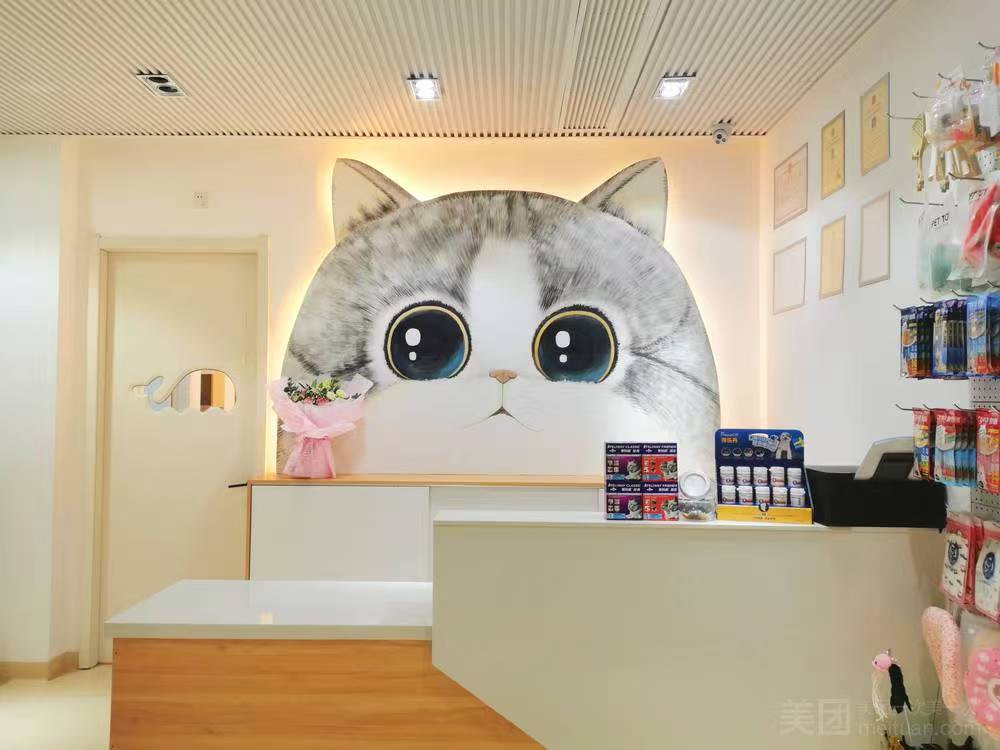 乐威宠物医院猫专科分院